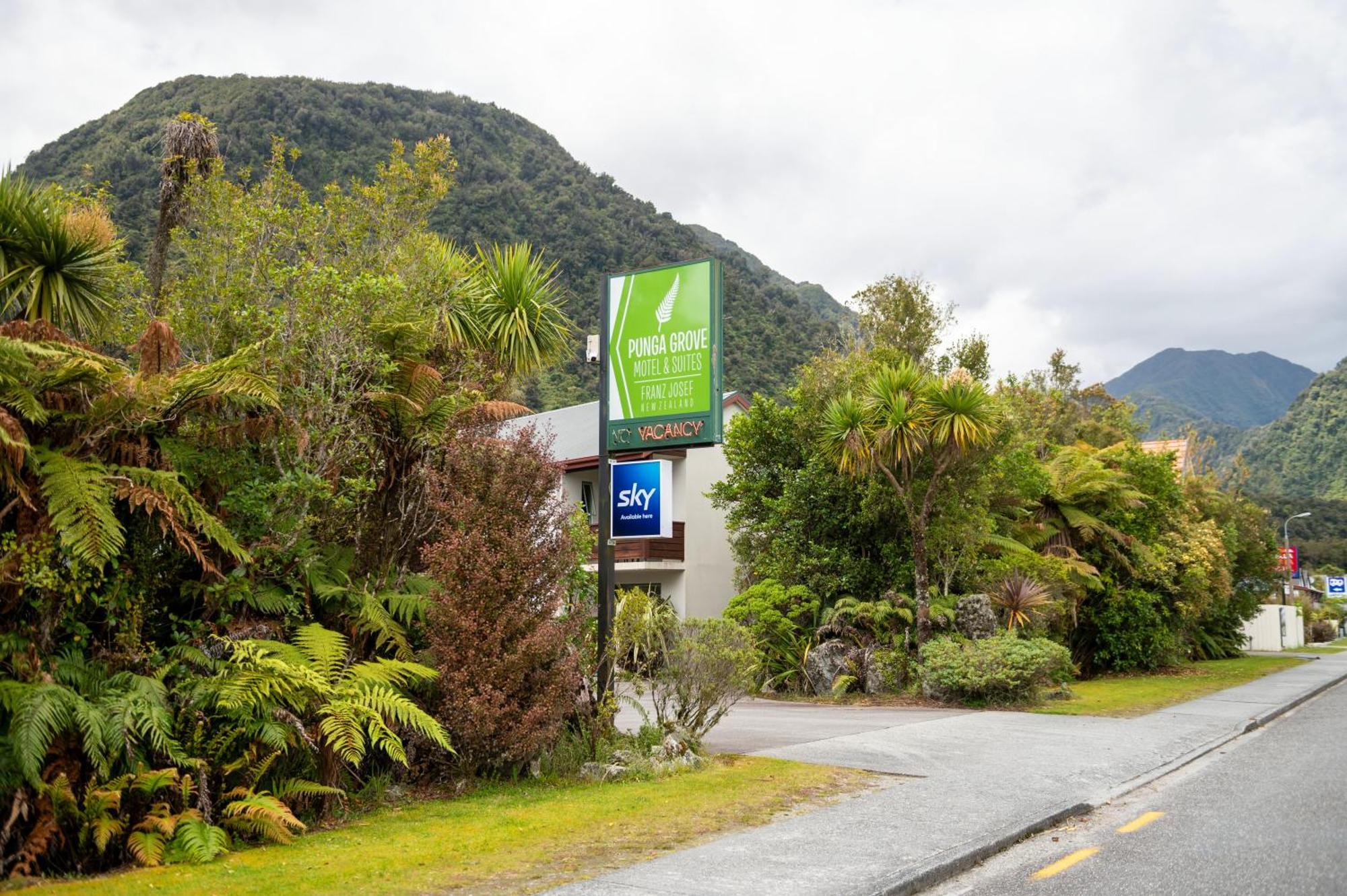 Punga Grove Motel Franz Josef Eksteriør billede