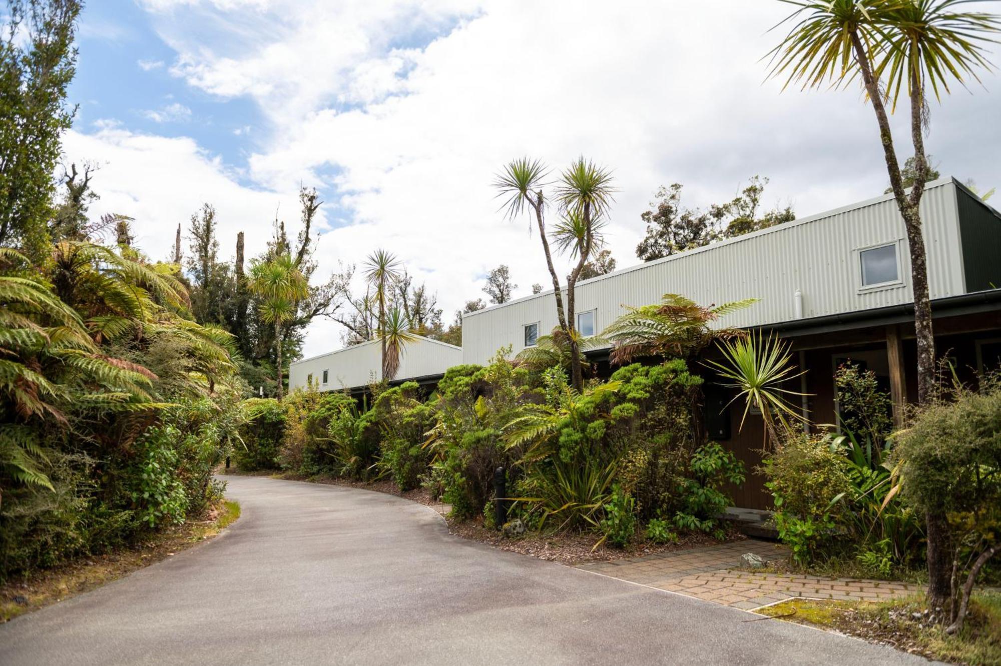 Punga Grove Motel Franz Josef Eksteriør billede