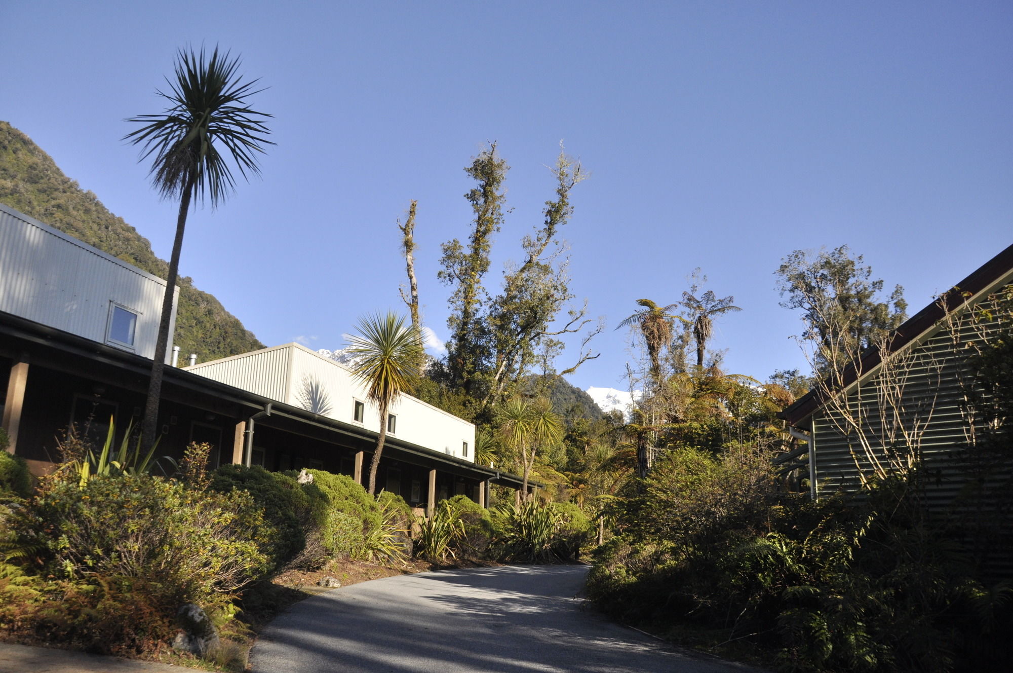 Punga Grove Motel Franz Josef Eksteriør billede